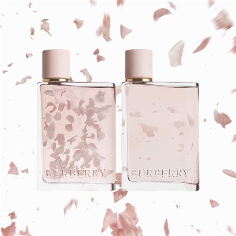 burberry perfume limited